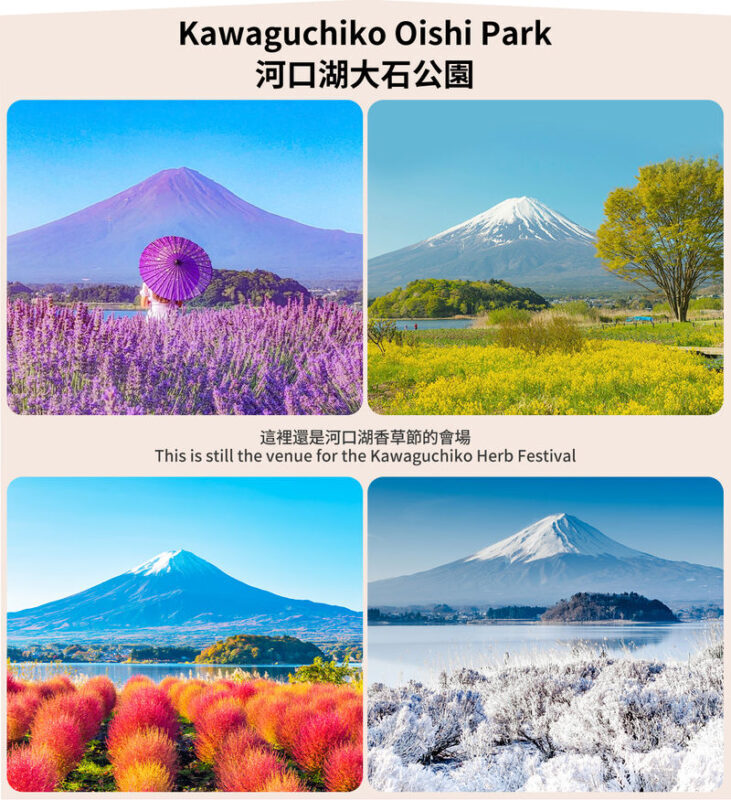Mount Fuji Twin Lake Experience Tour: Hirano Beach & Lake Yamanaka Walk/KABA Amphibious Bus/Lake Yamanaka Swan Lake Cruise & Oshino Hakkai & Lake Kawaguchiko Experience One-Day Tour (Departing from Tokyo) - Lake Yamanaka: choose wheels, water, or a walk