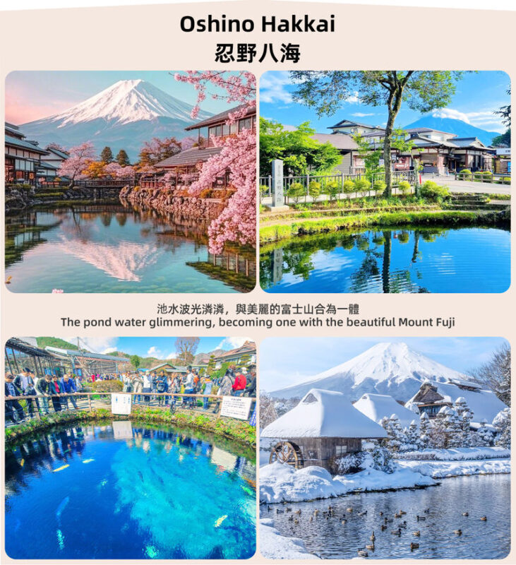 Mount Fuji Twin Lake Experience Tour: Hirano Beach & Lake Yamanaka Walk/KABA Amphibious Bus/Lake Yamanaka Swan Lake Cruise & Oshino Hakkai & Lake Kawaguchiko Experience One-Day Tour (Departing from Tokyo) - Oshino Hakkai: eight spring ponds and a rural pause