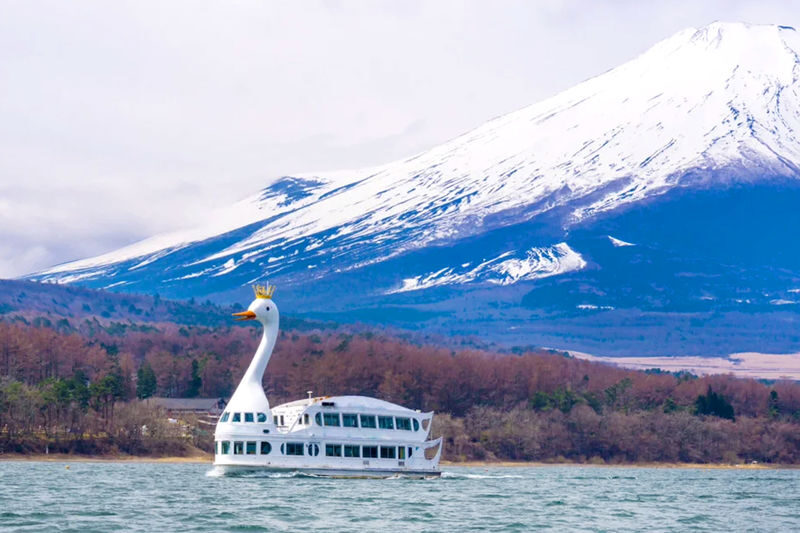 Mount Fuji Twin Lakes Instagram-Worthy Spots Day Tour | Lake Yamanaka Multiple Experiences Available + Lake Kawaguchi Oishi Park + Oshino Hakkai + Lawson Convenience Store + Nikawa Tokei Store (Departure from Tokyo) - A Fuji day built around variety