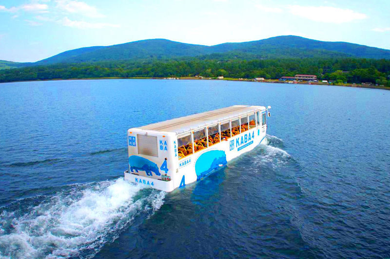 Mount Fuji Twin Lakes Instagram-Worthy Spots Day Tour | Lake Yamanaka Multiple Experiences Available + Lake Kawaguchi Oishi Park + Oshino Hakkai + Lawson Convenience Store + Nikawa Tokei Store (Departure from Tokyo) - Oshino Hakkai: clear water and an older village feel