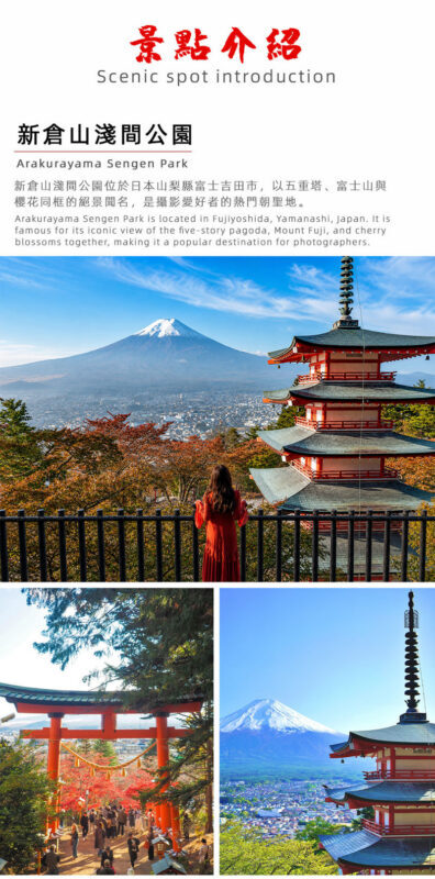 Mount Fuji Twin Lakes Internet-Famous Attractions Check-in Small Group Day Tour (Driver-Guide Service) - What the driver-guide service means in practice