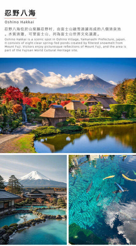 Mount Fuji Twin Lakes Internet-Famous Attractions Check-in Small Group Day Tour (Driver-Guide Service) - Is $49.75 good value?