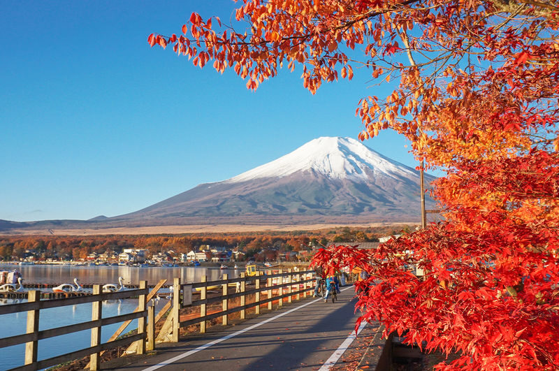 Mount Fuji Yamanakako Cycling/Cruise, Oshino Hakkai, Lake Kawaguchiko Oishi Park/Maple Corridor, Arakurayama Sengen Park/Ladder Town Day Trip | From Tokyo | Small Group (4-9 People) - A Fuji day built around variety