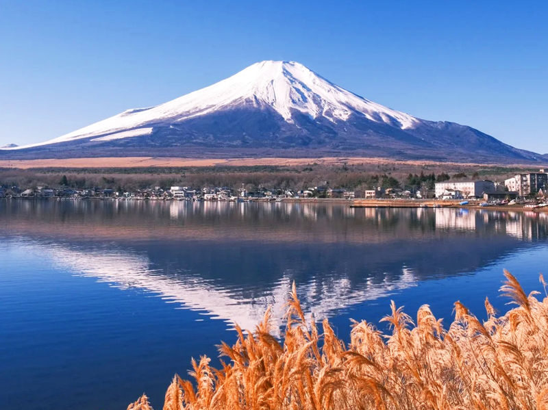 Mount Fuji Yamanakako Cycling/Cruise, Oshino Hakkai, Lake Kawaguchiko Oishi Park/Maple Corridor, Arakurayama Sengen Park/Ladder Town Day Trip | From Tokyo | Small Group (4-9 People) - Oshino Hakkai: clear water and a short village visit