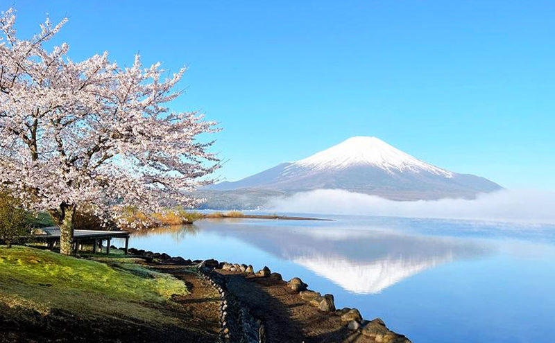 Mount Fuji Yamanakako Cycling/Cruise, Oshino Hakkai, Lake Kawaguchiko Oishi Park/Maple Corridor, Arakurayama Sengen Park/Ladder Town Day Trip | From Tokyo | Small Group (4-9 People) - Small-group comfort and the long ride