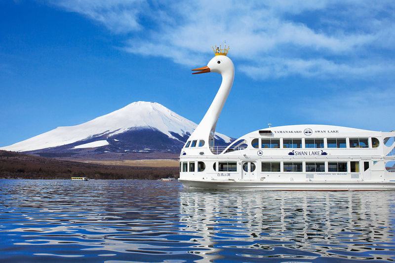 Mount Fuji Yamanakako Cycling/Cruise, Oshino Hakkai, Lake Kawaguchiko Oishi Park/Maple Corridor, Arakurayama Sengen Park/Ladder Town Day Trip | From Tokyo | Small Group (4-9 People) - Price, timing and practical limits