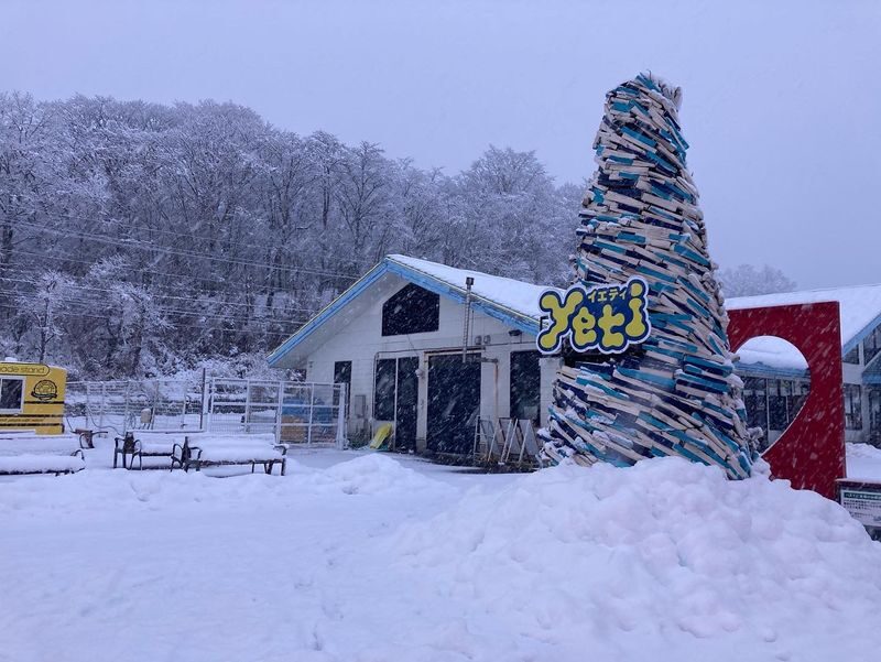 Mount Fuji Yeti Ski & Strawberry Picking Day Trip (Departing from Tokyo/Shinjuku) - Pick the package that matches your winter day
