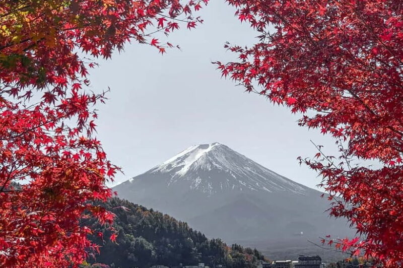 Mount Fuji,Lake Kawaguchiko Private Tour By Car With Pick Up - A Deep Dive into the Experience