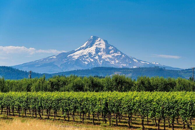 Mount Hood & Columbia River Gorge Air Tour by Envi Adventures - A Detailed Look at the Mount Hood & Columbia River Gorge Air Tour