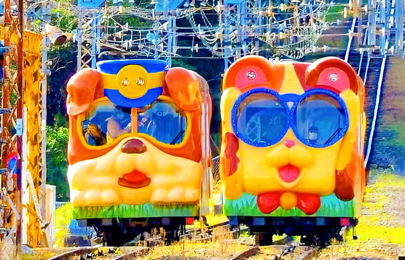 Mount Ikoma & Nara Fun Trip | Sky Cycle + Nara Park Deer Feeding + Todai-ji Temple + Wakakusa Mountain Overlook Day Trip | Depart from Osaka (Ikoma Sanjo Amusement Park or Hirakata Park Optional) - The day in a nutshell