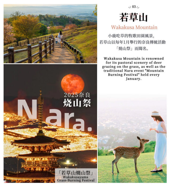 Mount Ikoma & Nara Fun Trip | Sky Cycle + Nara Park Deer Feeding + Todai-ji Temple + Wakakusa Mountain Overlook Day Trip | Depart from Osaka (Ikoma Sanjo Amusement Park or Hirakata Park Optional) - Todai-ji: make room for the great wooden hall