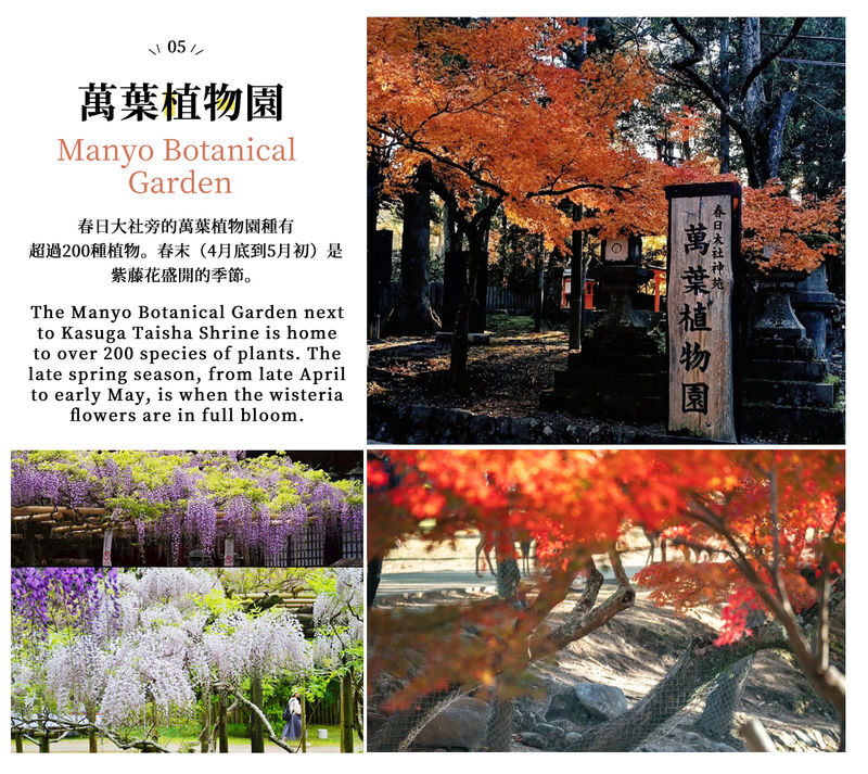 Mount Ikoma & Nara Fun Trip | Sky Cycle + Nara Park Deer Feeding + Todai-ji Temple + Wakakusa Mountain Overlook Day Trip | Depart from Osaka (Ikoma Sanjo Amusement Park or Hirakata Park Optional) - Ikoma Sanjo: scenic pedals, modest rides