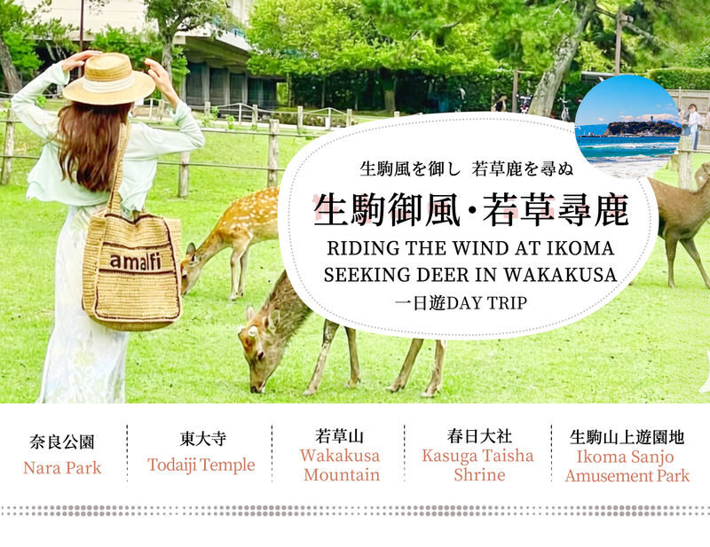Mount Ikoma & Nara Fun Trip | Sky Cycle + Nara Park Deer Feeding + Todai-ji Temple + Wakakusa Mountain Overlook Day Trip | Depart from Osaka (Ikoma Sanjo Amusement Park or Hirakata Park Optional) - Who will enjoy this day most