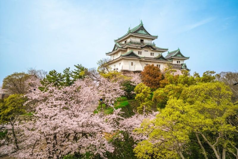 Mount Koya Wakayama & Nachi Waterfall Private Day Tour - Wakayama Castle sets the historical tone