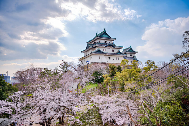 Mount Koya Wakayama & Nachi Waterfall Private Day Tour - Nachi Falls is the big natural payoff
