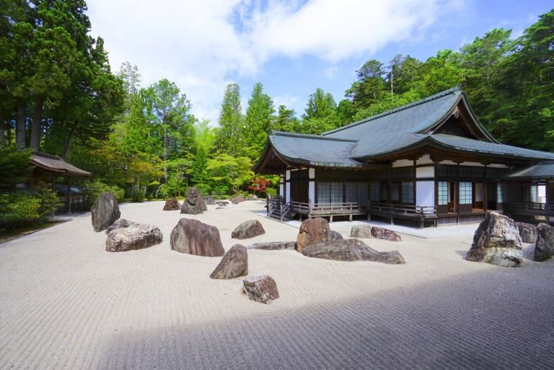 Mount Koya Wakayama & Nachi Waterfall Private Day Tour - Choose between a cave and a seafood market