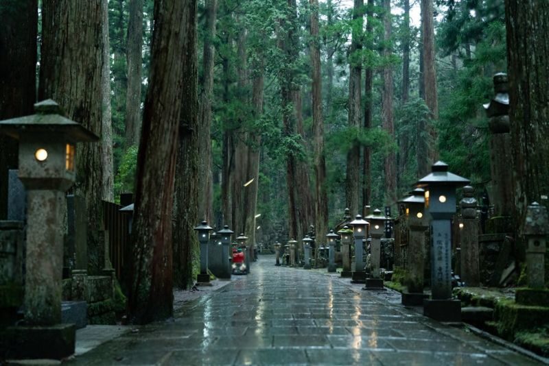 Mount Koya Wakayama & Nachi Waterfall Private Day Tour - Should you book it?