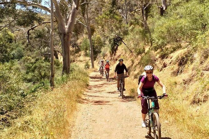 Mount Lofty Descent Bike Tour from Adelaide - An In-Depth Look at the Mount Lofty Descent Bike Tour