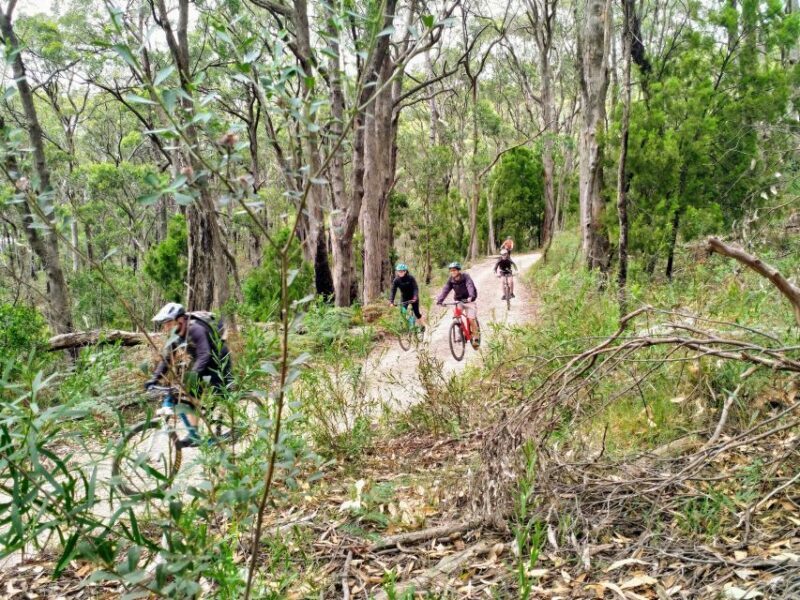 Mount Lofty Downhill Bike Tour & Cleland Wildlife Park Visit - FAQ