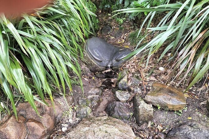 Mount Maunganui Hkoi Walking Tour - Key Points