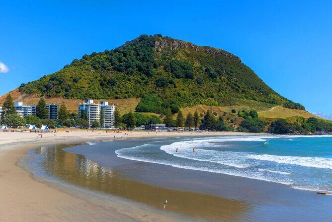 Mount Maunganui, Tauranga Day Tour from Auckland - A Closer Look at the Tour Experience