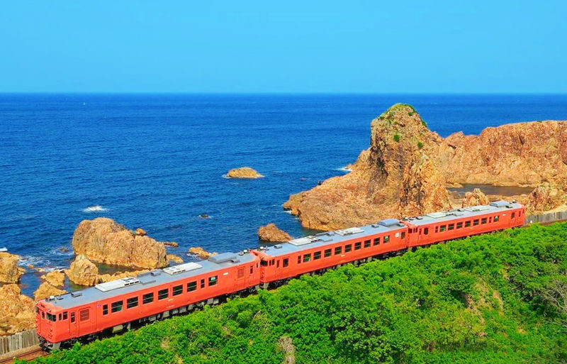 Mount Omuro/Cactus Park & Ocean View Train (with ticket) & Jogasaki Coast Day Trip (Departing from Tokyo) - The best of Izu in a day