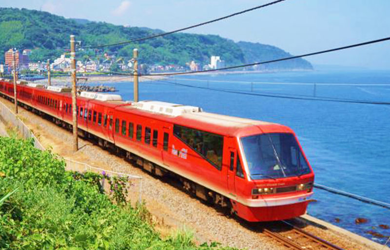 Mount Omuro/Cactus Park & Ocean View Train (with ticket) & Jogasaki Coast Day Trip (Departing from Tokyo) - A long ride from Tokyo for a very different coast