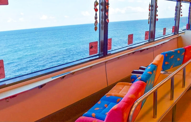 Mount Omuro/Cactus Park & Ocean View Train (with ticket) & Jogasaki Coast Day Trip (Departing from Tokyo) - Mount Omuro: a summit walk above the Pacific