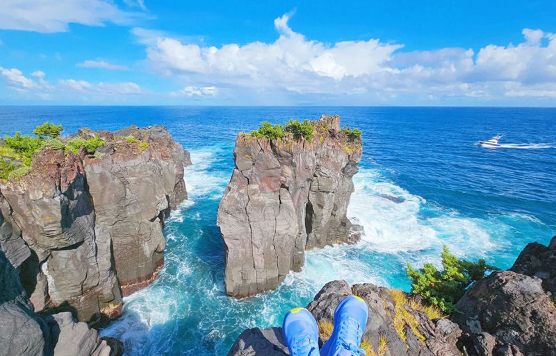 Mount Omuro/Cactus Park & Ocean View Train (with ticket) & Jogasaki Coast Day Trip (Departing from Tokyo) - Who should book this Izu day trip?