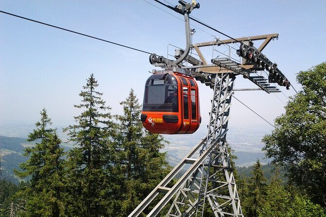 Mount Pilatus off-season Small Group Tour from Basel - Experience the Swiss Alps without the Crowds: Mount Pilatus Small Group Tour from Basel