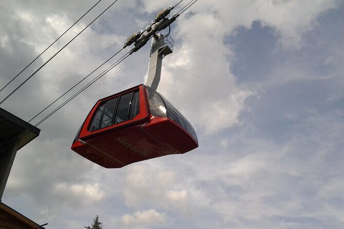 Mount Pilatus off-season Small Group Tour from Basel - A Detailed Look at the Tour Experience