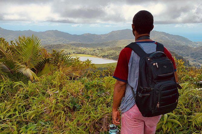 Mount Qua Qua Hiking Adventure From Grand Etang/Lake - Who Should Consider This Tour?