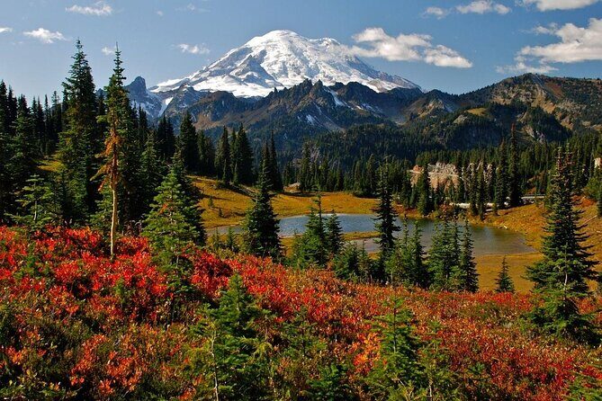 Mount Rainier Customized Tour from Seattle - A Full Day Exploring Mount Rainier – What You Need to Know