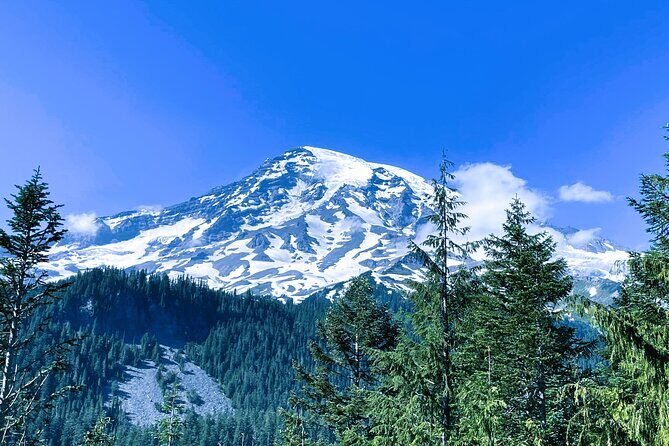 Mount Rainier Customized Tour from Seattle - FAQ: Your Mount Rainier Tour Questions Answered