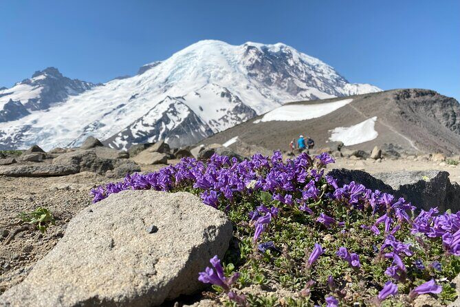 Mount Rainier Day Hike - Who Will Appreciate This Experience?