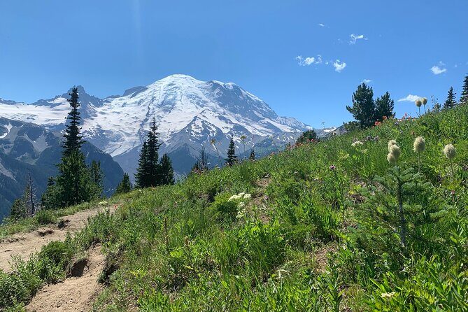 Mount Rainier Full Day Private Tour and Hike - FAQs