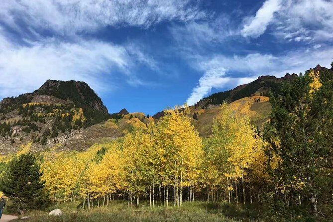 Mount Rainier National Park Day Tour from Seattle - What’s Included and How It Adds Value