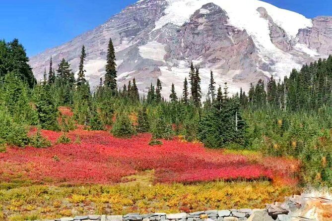 Mount Rainier National Park Day Tour from Seattle - Who Is This Tour Best For?