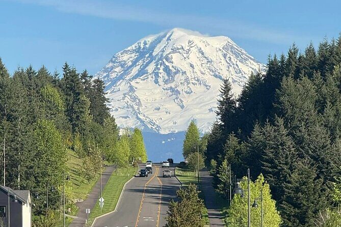 Mount Rainier Photo Tour with Private Sprinter Transport - An Authentic Mount Rainier Experience Without the Long Drive