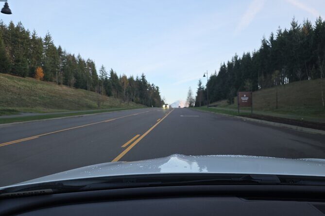 Mount Rainier Photo Tour with Private Sprinter Transport - Key Points