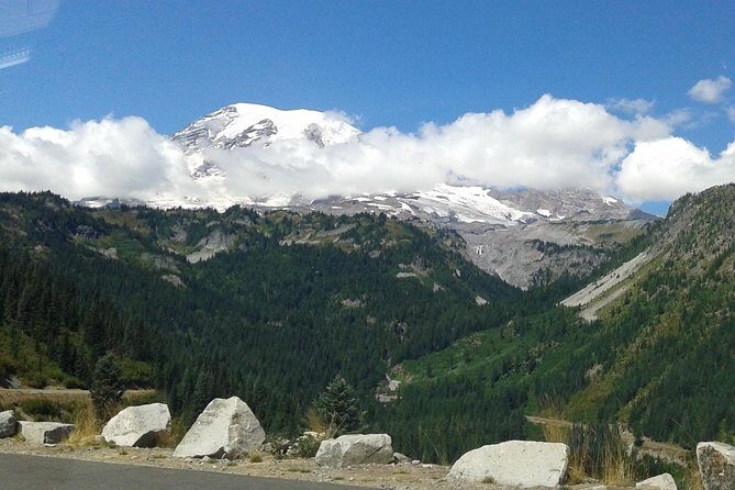 Mount Rainier Tour from Seattle - An In-Depth Look at the Mount Rainier Tour Experience
