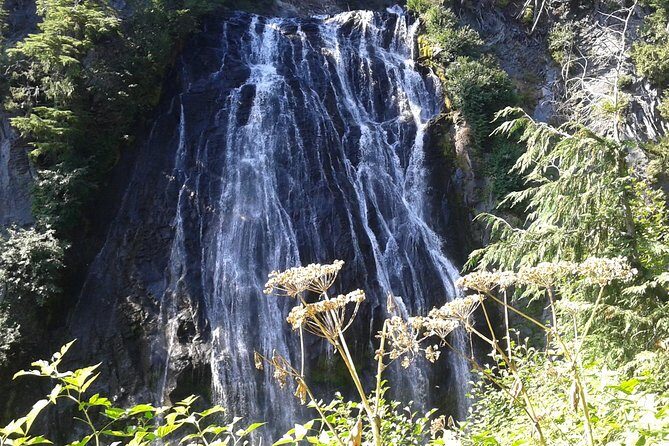Mount Rainier Tour from Seattle - Final Thoughts