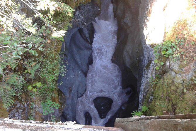 Mount Rainier Tour from Seattle - Summary: Is This Tour for You?