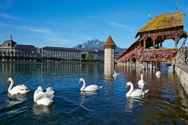 Mount Rigi: 2-Day Wellness Experience from Zurich - Authentic Experiences & Traveler Perspectives