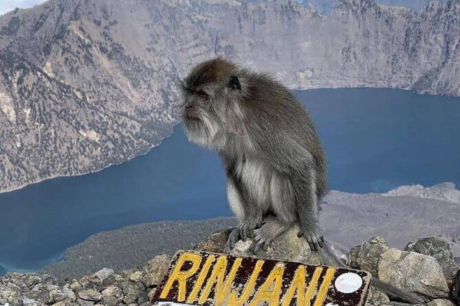 Mount Rinjani 2D 1N trekking to summit - Who Should Consider This Tour?