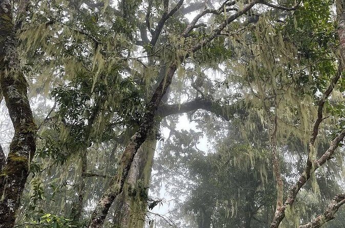 Mount Rinjani Second Summit 2 Days 1 Night - Authentic Experiences and Authentic Guides