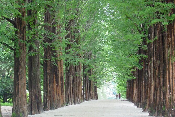 Mount Seorak and Nami Island One Day Tour from Seoul - Exploring the Itinerary in Detail