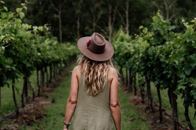 Mount Tamborine Hop on Hop off Bus from Brisbane - A Deep Dive into the Experience