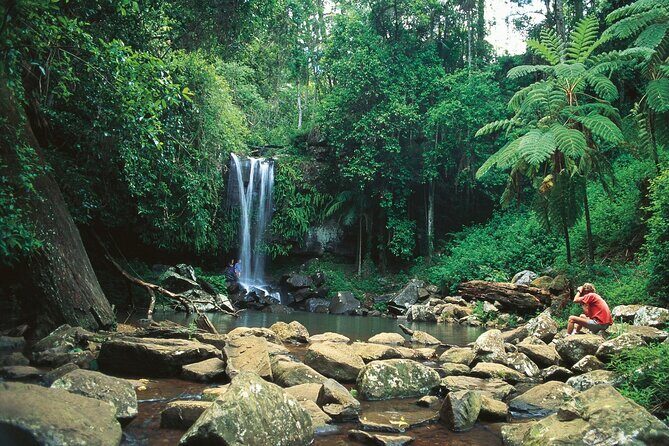 Mount Tamborine Hop on Hop off Bus from Brisbane - FAQ