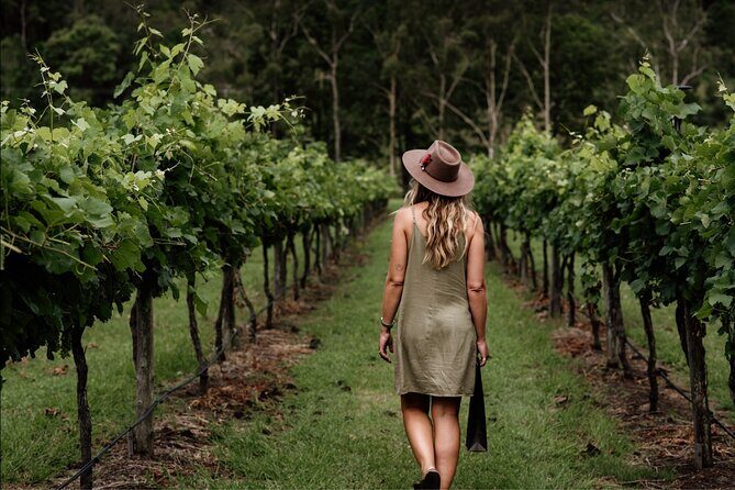 Mount Tamborine Winery Tour with Gourmet lunch - Exploring the Mount Tamborine Winery Tour: A Deep Dive